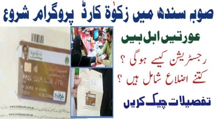 سندھ زکوٰۃ پروگرام - مستحقین کے لیے مالی امداد | Sindh Zakat Program 2024